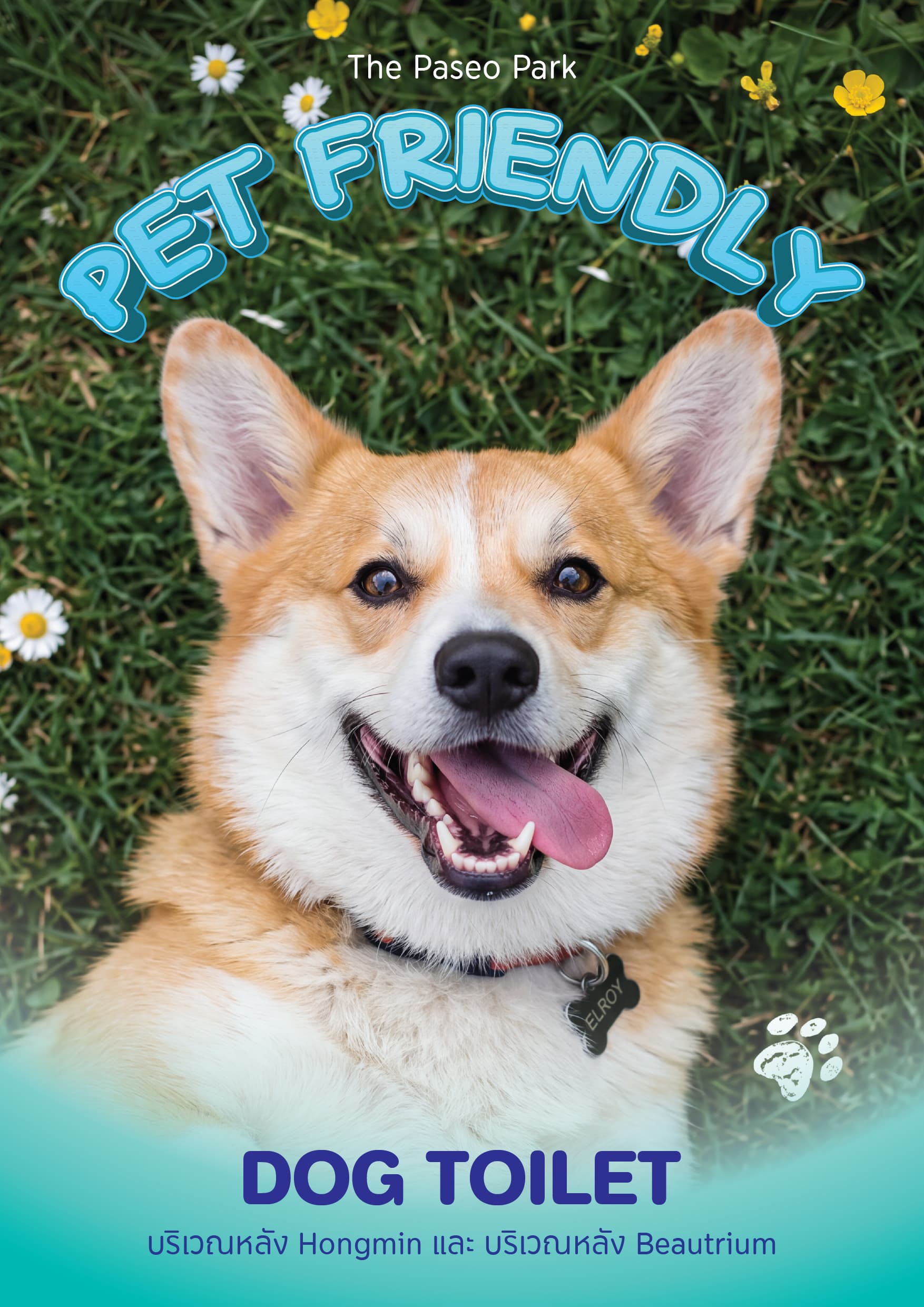 Pet Friendly
