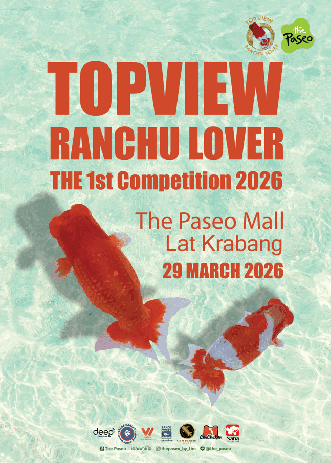 รวมตัวคนรักปลาในงาน TOPVIEW RANCHU LOVER – THE 1st COMPETITION 2026