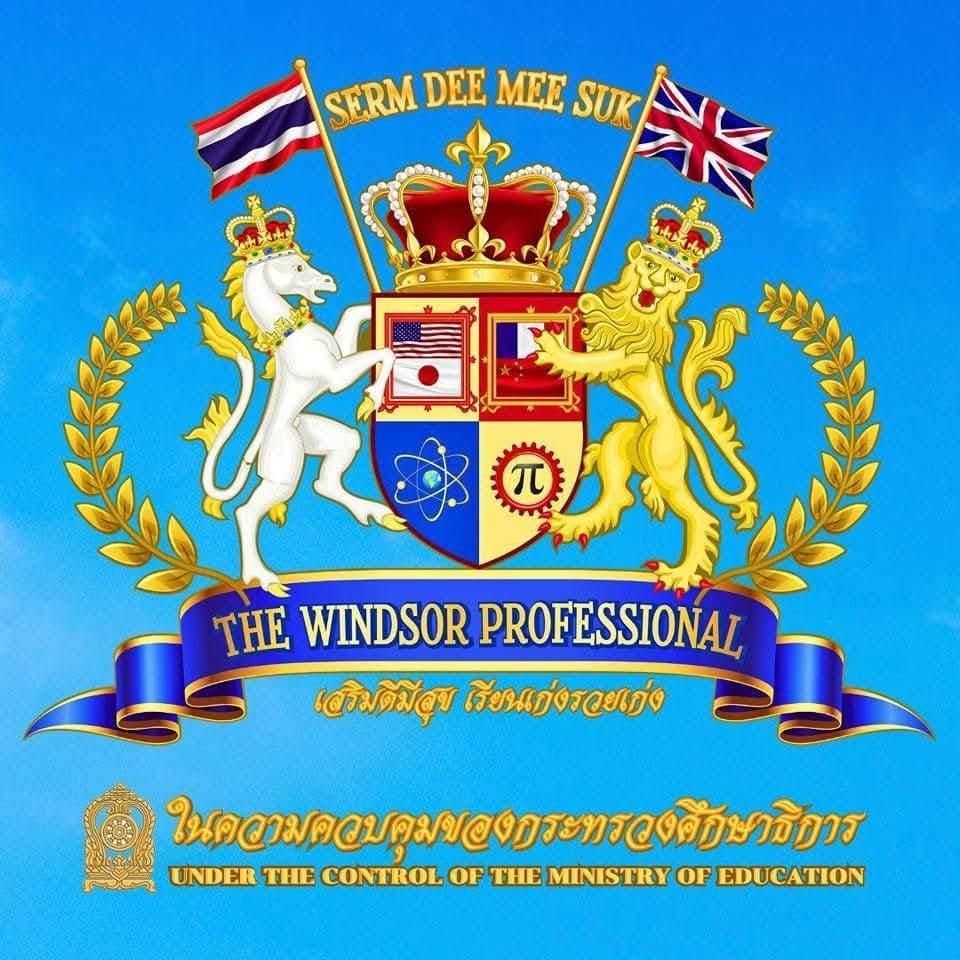 THE WINDSOR PROFESSIONAL