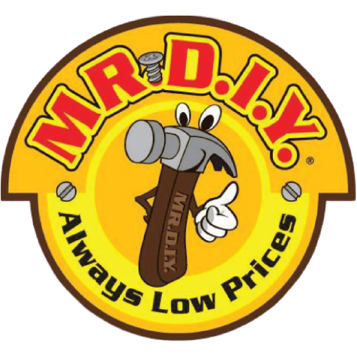 MR. D.I.Y.