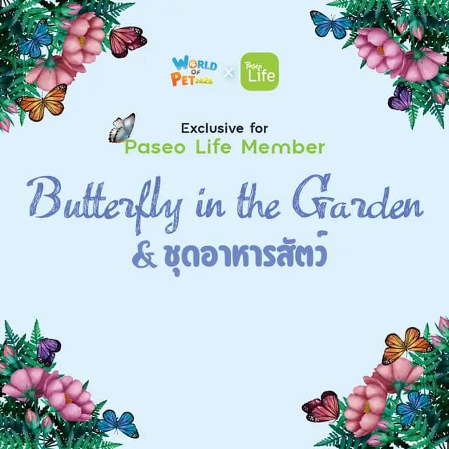 Paseo Life x World of Pet