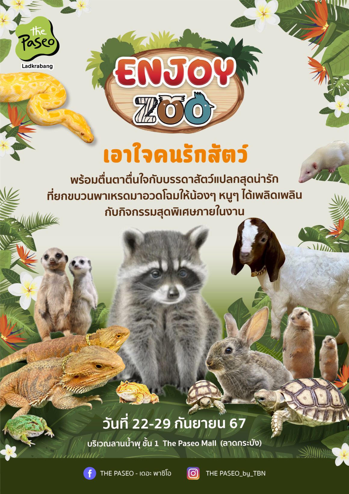 🐾Enjoy Zoo เดอะ พาซิโอ มอลล์ ลาดกระบัง (บริเวณลานน้ำพุชั้น 1)