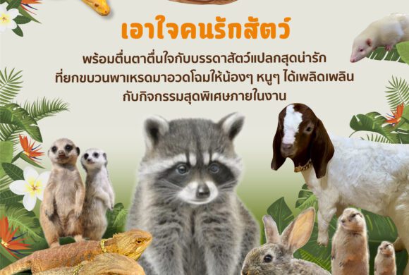 🐾Enjoy Zoo เดอะ พาซิโอ มอลล์ ลาดกระบัง (บริเวณลานน้ำพุชั้น 1)