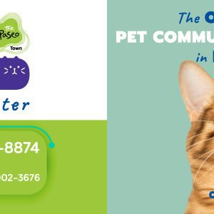 Pet