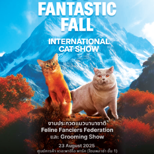 FFF FANTASTIC FALL INTERNATIONAL CAT SHOW FFF FANTASTIC FALL INTERNATIONAL CAT SHOW