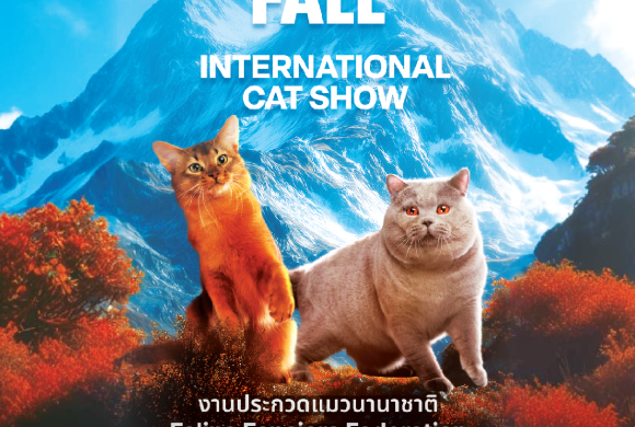 FFF FANTASTIC FALL INTERNATIONAL CAT SHOW