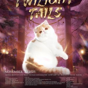 Twilight Tails: วันเดียว…สองอารมณ์ สองเวทีการประกวด! Twilight Tails: วันเดียว…สองอารมณ์ สองเวทีการประกวด!