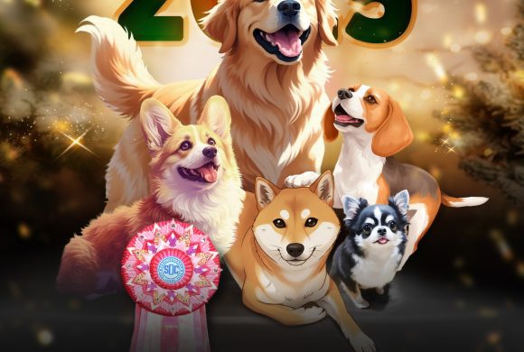 แก๊งค์สุนัขชิงแชมป์นานาชาติ ที่ The Paseo Park