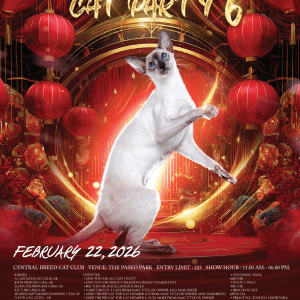 CHINESE NEW YEAR CAT PARTY 6 CHINESE NEW YEAR CAT PARTY 6