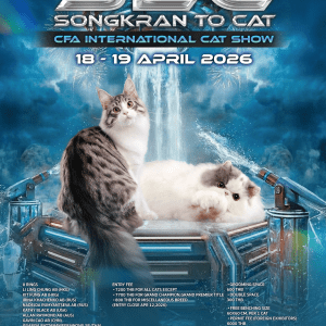 S2C SONGKRAN TO CAT