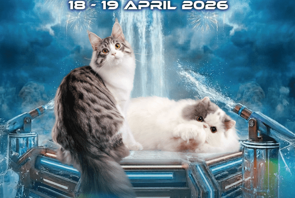 S2C SONGKRAN TO CAT