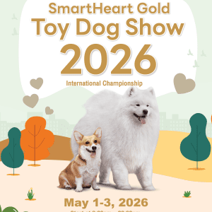 🐶✨ งานใหญ่สาย Toy Breed ที่เหล่าคนรักหมาห้ามพลาด✨🐶