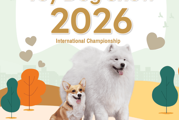 🐶✨ งานใหญ่สาย Toy Breed ที่เหล่าคนรักหมาห้ามพลาด✨🐶