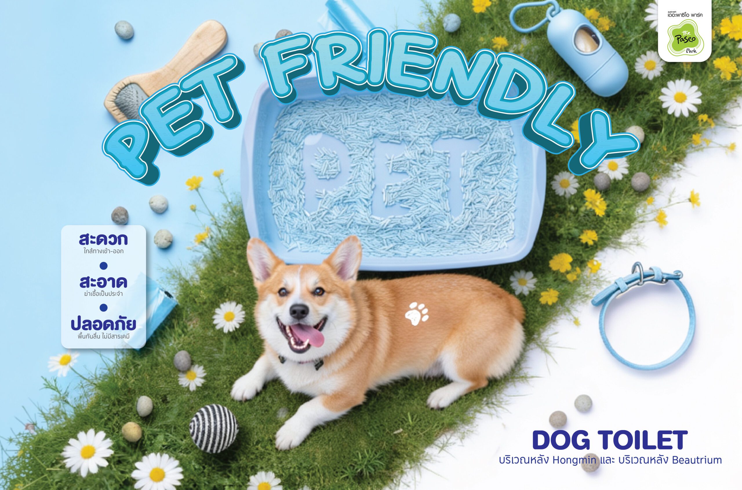 Corgi lying on grass among daisies with blue pet supplies and a large 'PET FRIENDLY' banner across the top.